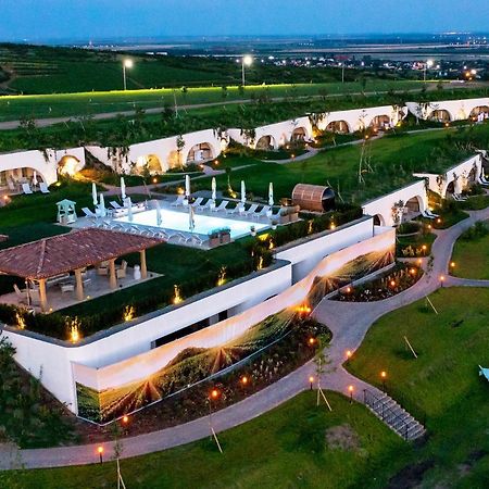Casa Timis - Wellness & Spa Resort Chiţorani エクステリア 写真 Aerial view of the resort