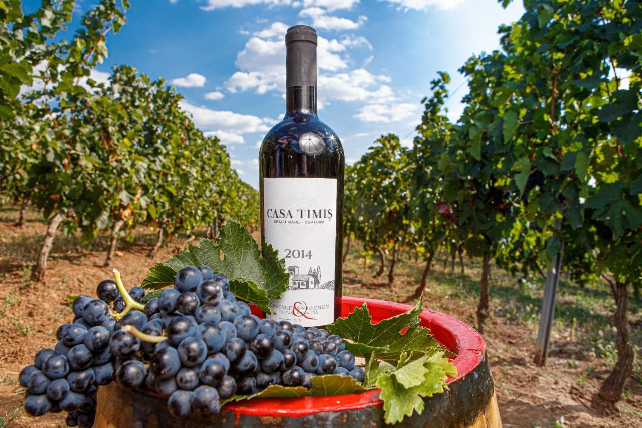 Casa Timis - Wellness & Spa Resort Chiţorani エクステリア 写真 A bottle of wine from the Penedès region