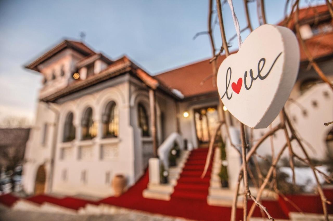 Casa Timis - Wellness & Spa Resort Chiţorani エクステリア 写真 The Love Museum
