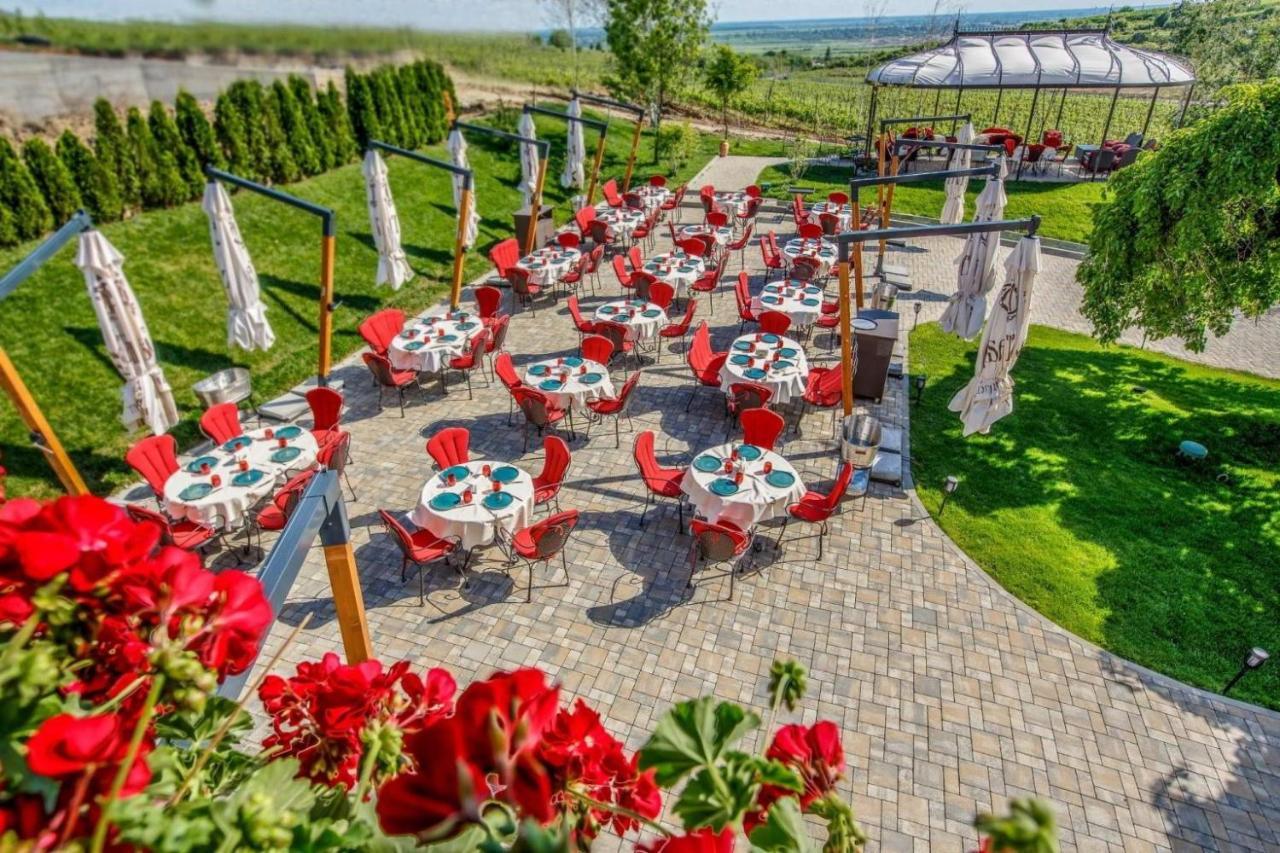Casa Timis - Wellness & Spa Resort Chiţorani エクステリア 写真 Terrace of the restaurant