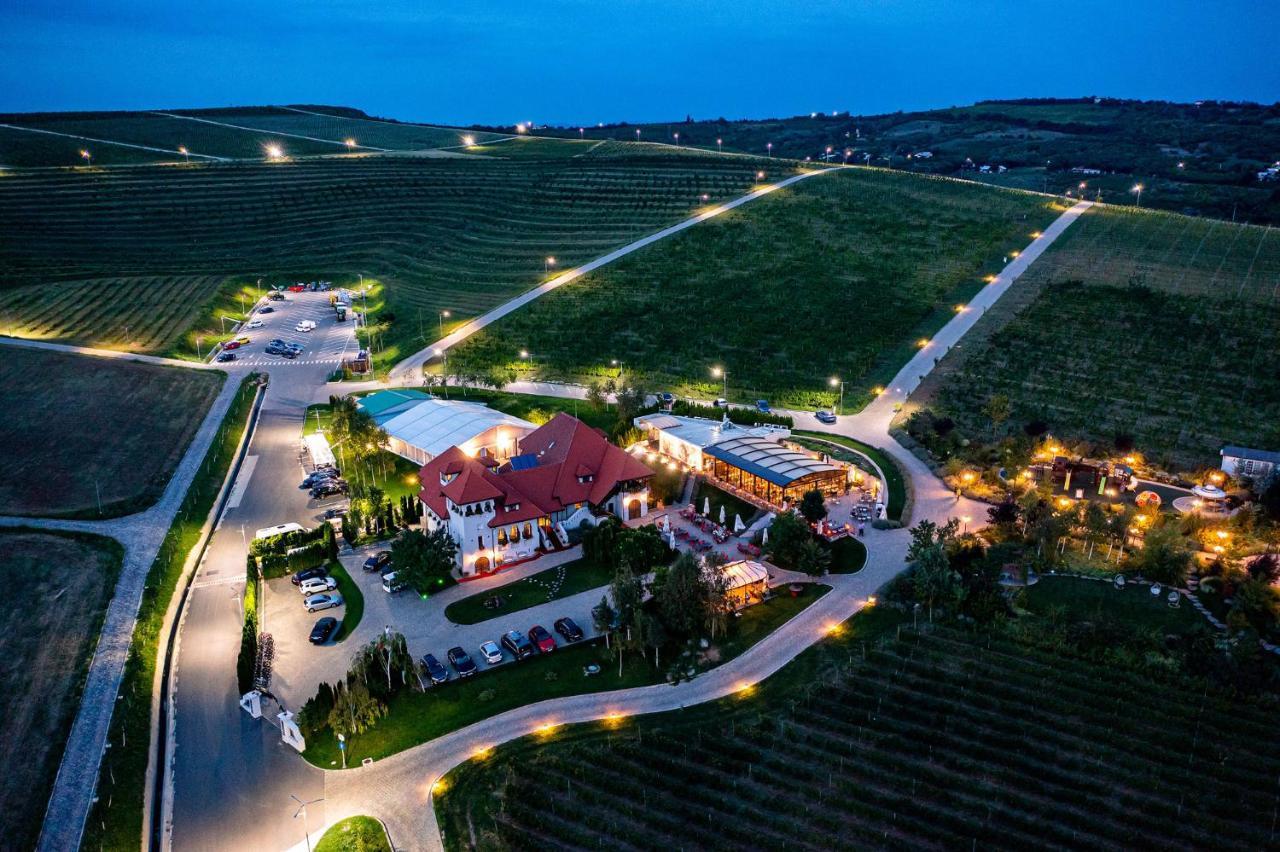 Casa Timis - Wellness & Spa Resort Chiţorani エクステリア 写真 Aerial view of the winery