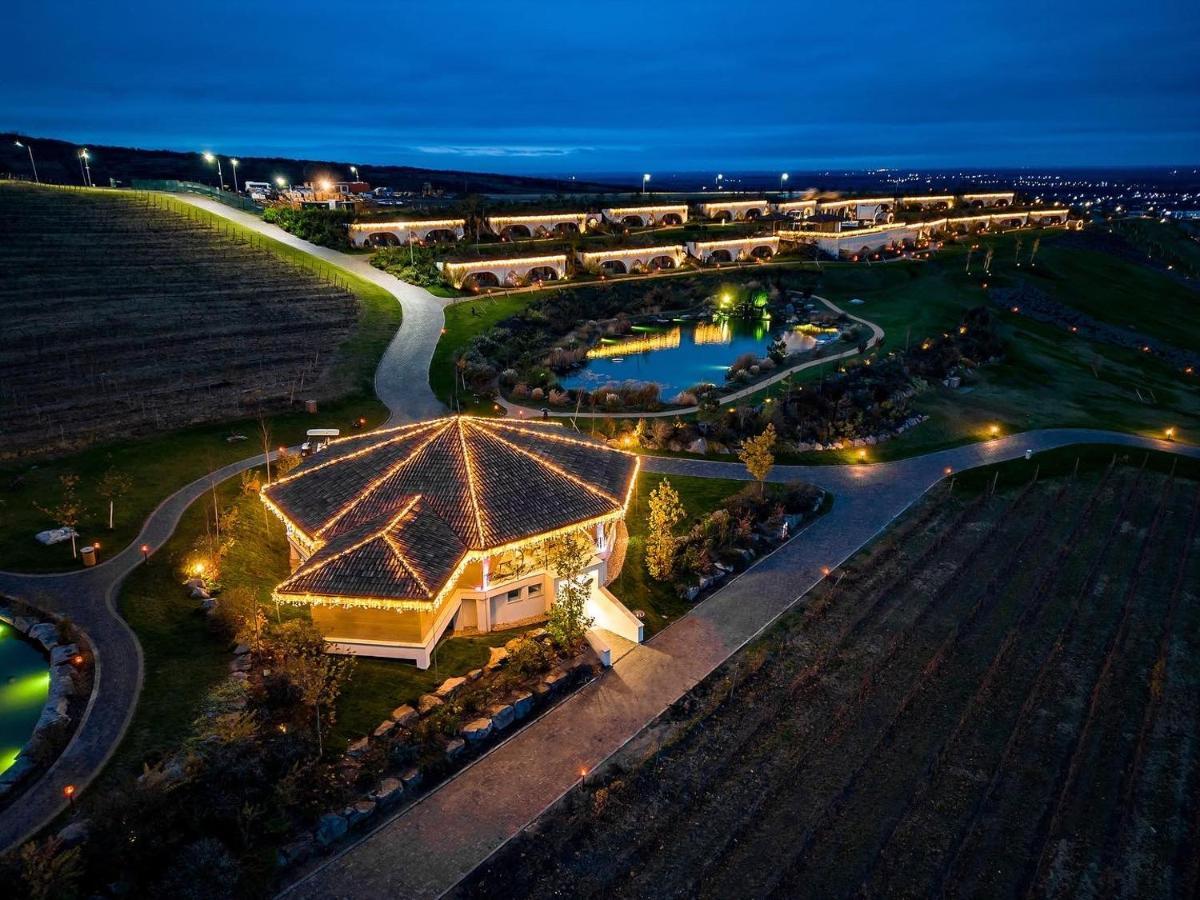 Casa Timis - Wellness & Spa Resort Chiţorani エクステリア 写真 Aerial view of the resort at night